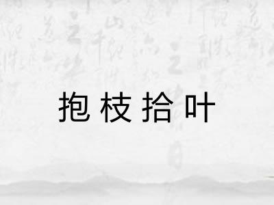 抱枝拾叶 抱枝拾叶