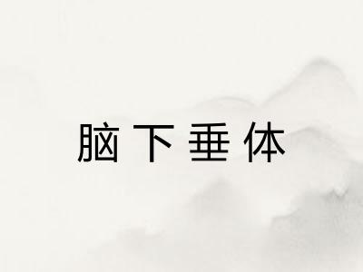 脑下垂体 脑下垂体