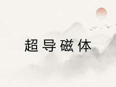 超导磁体 超导磁体