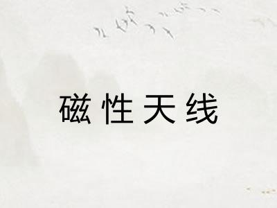 磁性天线 磁性天线