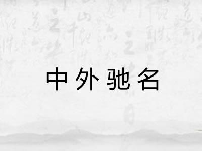 中外驰名 中外驰名