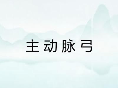 主动脉弓 主动脉弓