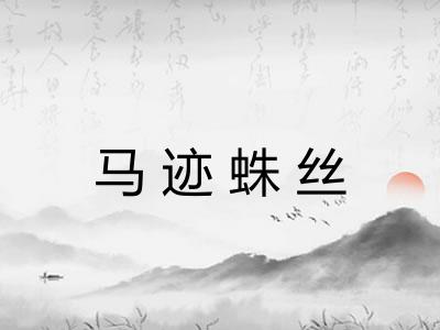 马迹蛛丝