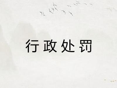 行政处罚 行政处罚