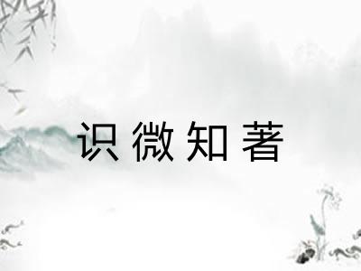识微知著 识微知著