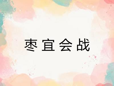 枣宜会战 枣宜会战