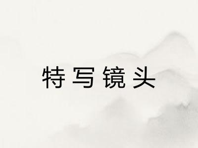 特写镜头 特写镜头