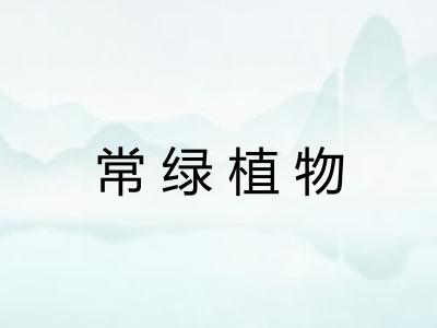常绿植物 常绿植物