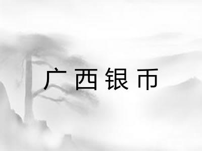广西银币 广西银币