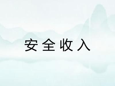 安全收入 安全收入