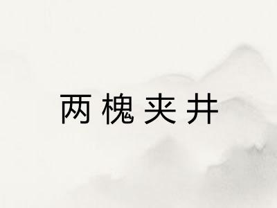 两槐夹井 两槐夹井