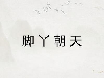 脚丫朝天 脚丫朝天