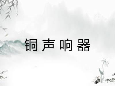铜声响器 铜声响器