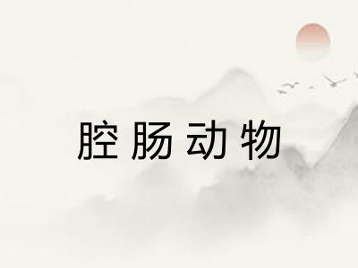 腔肠动物 腔肠动物