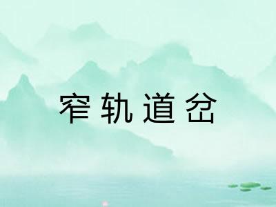 窄轨道岔 窄轨道岔