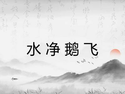 水净鹅飞 水净鹅飞