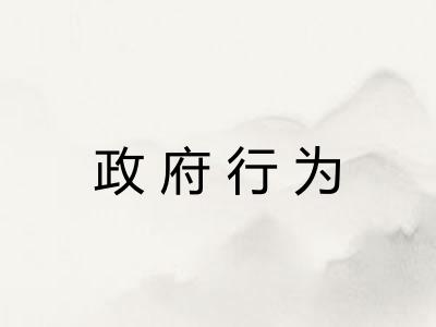 政府行为 政府行为