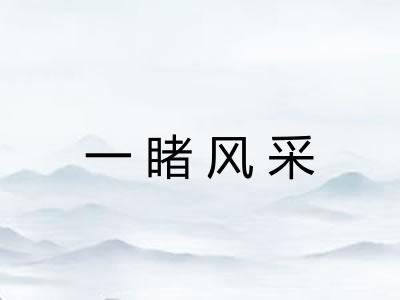 一睹风采 一睹风采