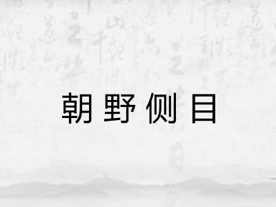 朝野侧目