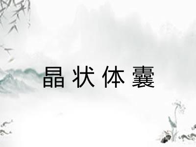 晶状体囊 晶状体囊