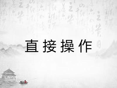 直接操作 直接操作