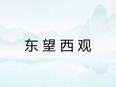 东望西观