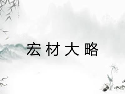 宏材大略 宏材大略