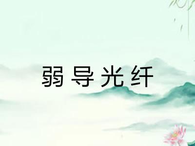 弱导光纤 弱导光纤