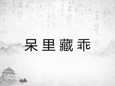 呆里藏乖 呆里藏乖