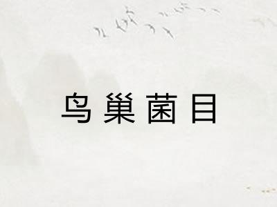 鸟巢菌目 鸟巢菌目