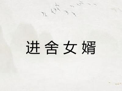 进舍女婿 进舍女婿