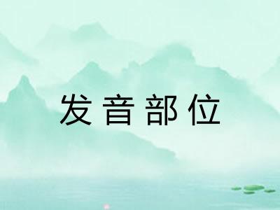 发音部位 发音部位