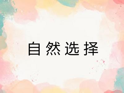 自然选择 自然选择