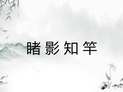 睹影知竿 睹影知竿