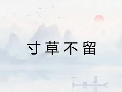 寸草不留