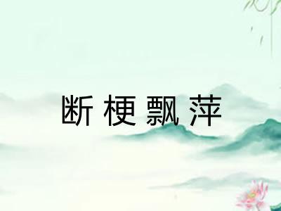 断梗飘萍 断梗飘萍