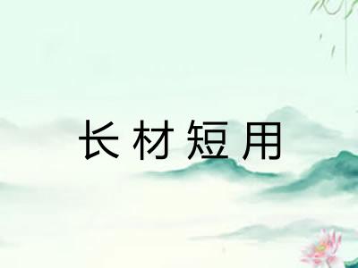 长材短用
