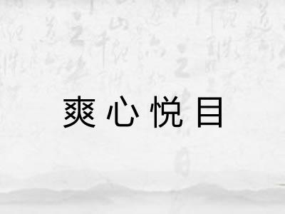 爽心悦目 爽心悦目