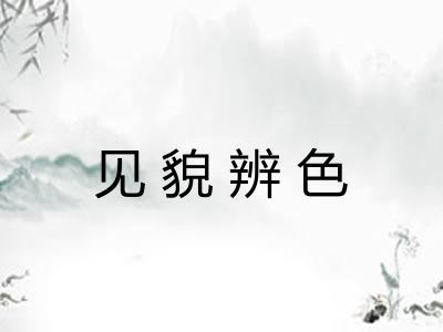 见貌辨色 见貌辨色