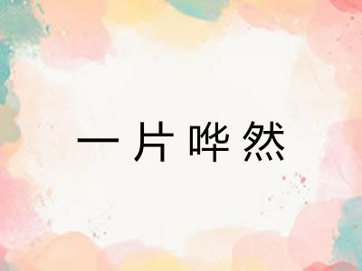 一片哗然 一片哗然