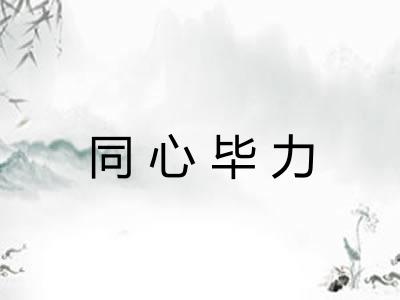 同心毕力