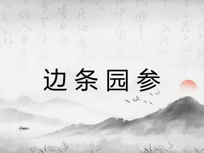 边条园参 边条园参