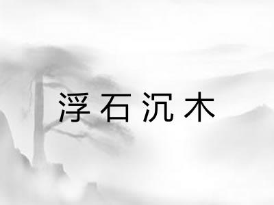 浮石沉木 浮石沉木