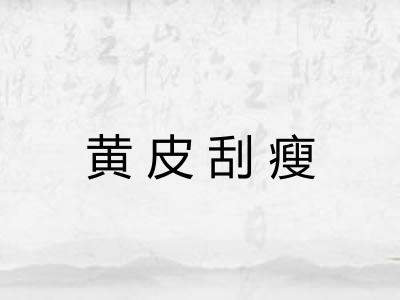 黄皮刮瘦 黄皮刮瘦
