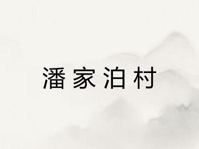 潘家泊村 潘家泊村