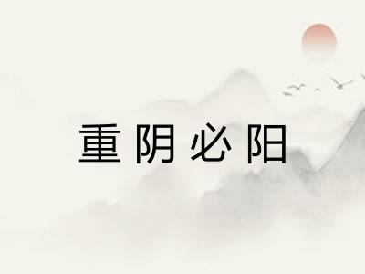 重阴必阳