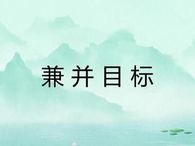 兼并目标