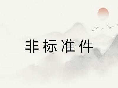 非标准件 非标准件