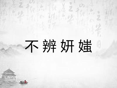 不辨妍媸 不辨妍媸