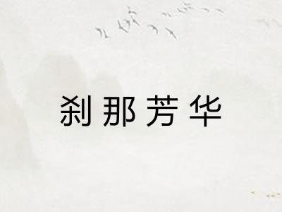 刹那芳华 刹那芳华